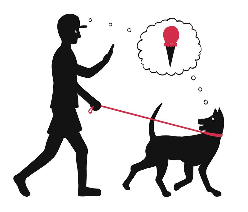 Even sophisticated algorithms may miss critical real-world context and cues, says Alexandra Horowitz, an expert on dog cognition at Barnard College. Illustration: Melanie Lambrick/The New York Times