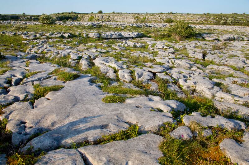 Karst rock in the Burren