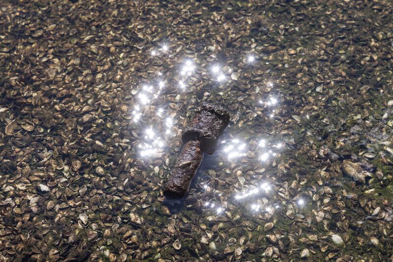 
A second World War grenade in the Dnipro River was revealed when the waters receded after the destruction of the Kakhovka dam, in the Zaporizhzhia Region, Ukraine. Photograph: David Guttenfelder/New York Times
                      