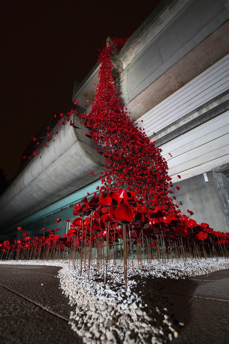 Weeping Window: Paul Cummins had freed the poppy from being a thing that Stood For Something to be contested or embraced or disgraced. Photograph: Darren Kidd/Press Eye