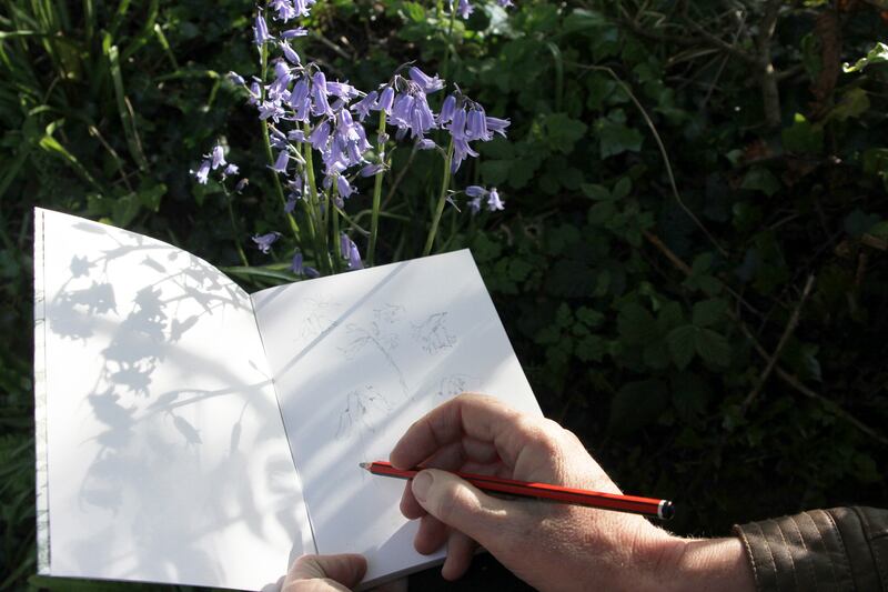 Drawing with Nature: the Barna Way hosts an art workshop on Saturday, April 29th. Photograph: Rena Blake