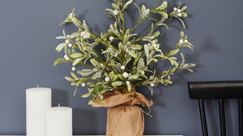 Mistletoe tree from Meadows & Byrne. Photograph: Miki Barlok