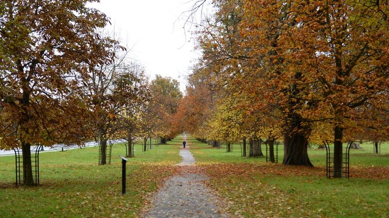 The pedestrian walkway that runs alongside Chesterfield Avenue in the Phoenix Park, Dublin. Photograph: Dara MacDónaill/The Irish Times