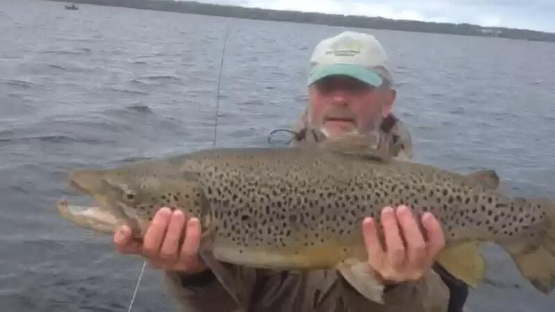 Galway hooker: Toby Bradshaw from Galway with a  trout of 5.5kg (12lb) caught on Lough Sheelin on a Green Peter
.