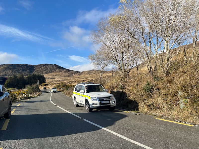 Garda cars stationed outside Michael Gaine's farm