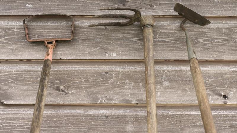 November is a great month to clean and sharpen any garden tools. Photograph: Richard Johnston