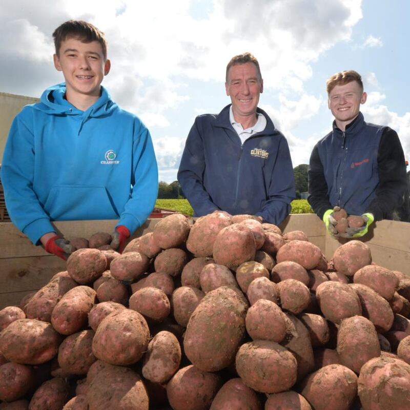 Martin Clinton wanted to keep the centuries-old tradition of Clintons growing potatoes alive for generations to come. Photograph: Alan Betson