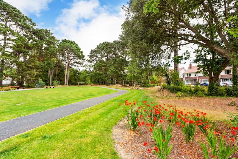 Mature grounds. Photograph: Ronan Melia Photography