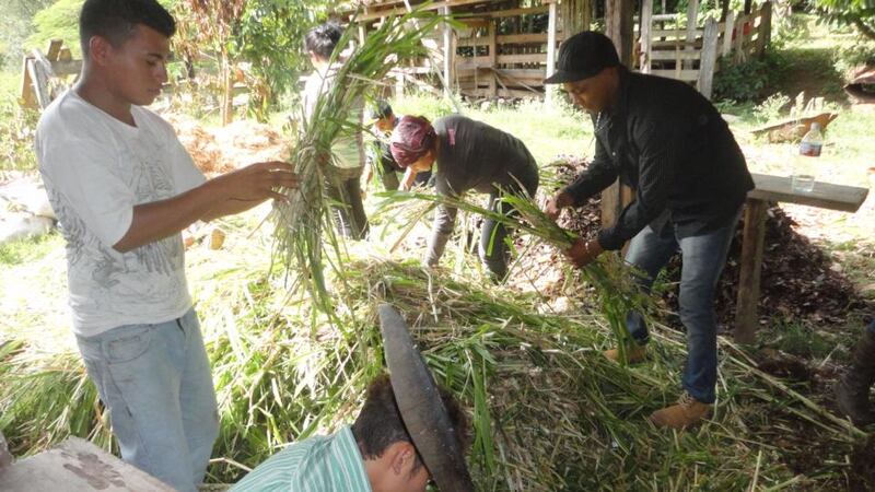 Coffee production workers in action. Photograph: El Mer Martinez/AFP/GETTY