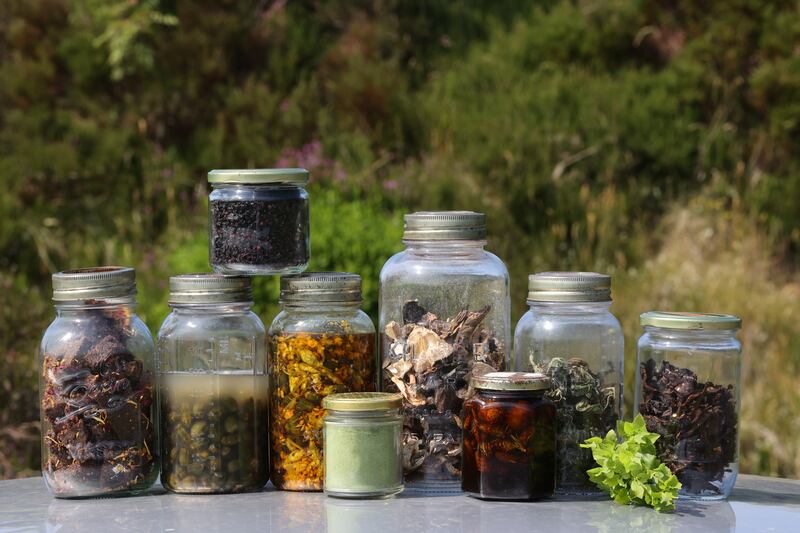 A selection of Courtney Tyler's foraged foods: Dandelion nut bars, pickled dandelion buds with fennel, dried elderberries, wild garlic bud and dandelion achaar, nettle matcha powder, dried Wicklow Porcini, 
Larch raw syrup, Ivan chai, Rosebay Willowherb, winter chanterelle and dried jerky. Photograph: Nick Bradshaw