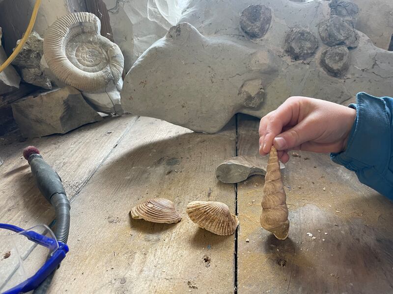 A fossil-hunting workshop at La Ferme de L'Ubac. Photograph: Holly Tindal