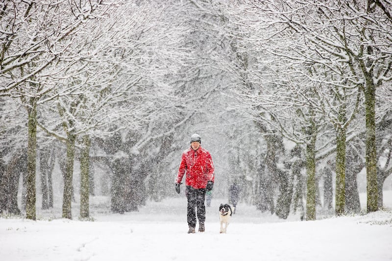 Donal O’Dea and his dog 'Reily' in Fairview Park, Dublin.
Photograph: Tom Honan