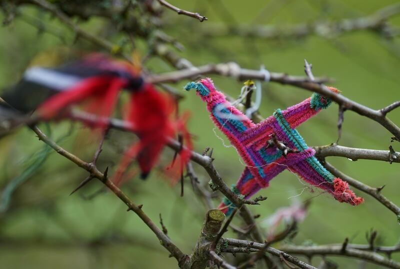 A St Brigid's cross hanging from a tree at St Brigid's holy well in Co Kildare. Photograph: Brian Lawless/PA
