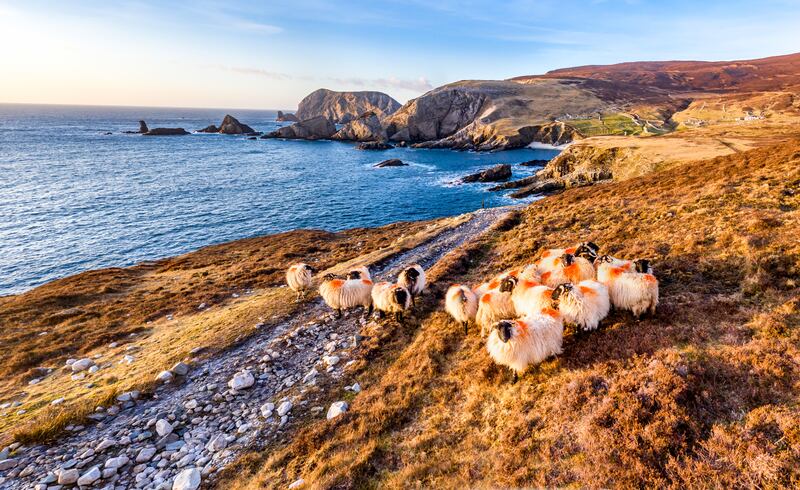 The beautiful Donegal coast. 
