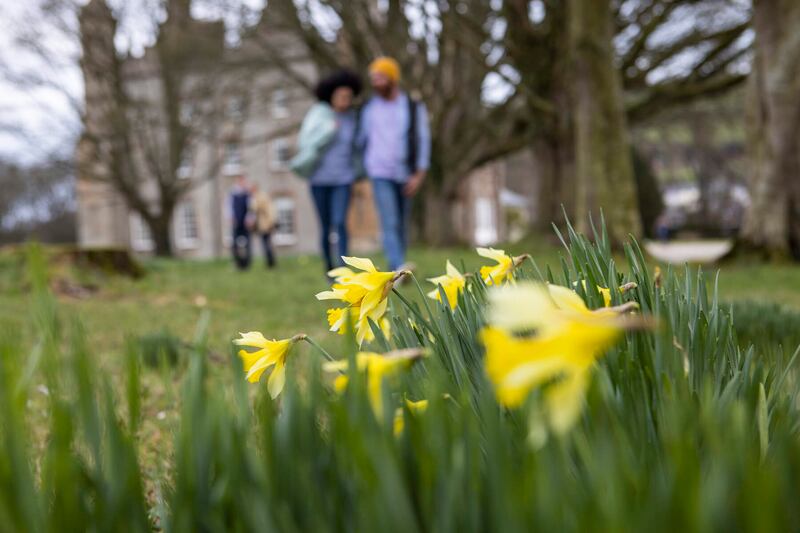 Glenarm Castle Walled Garden, recently named the Historic Houses 2023 Garden of The Year