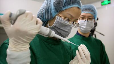 Zhou Xiaoqin, left, loads Cas9 protein and PCSK9 sgRNA molecules into a fine glass pipette as Qin Jinzhou watches at a laboratory in Shenzhen in southern China’s Guangdong province. The photorgraph was taken on October 9th, 2018.