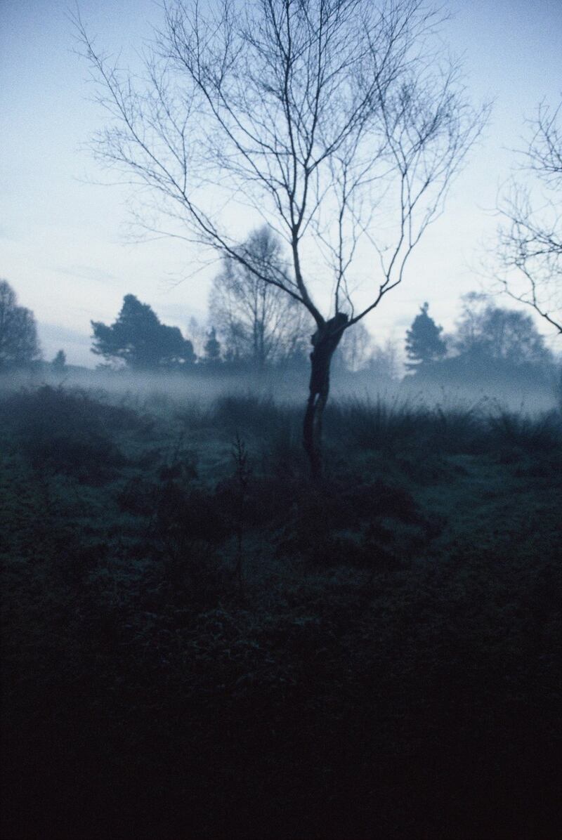 Travelling in a Strange Land:  I  am entering the frozen land although to which country it belongs I cannot say. Photograph by Sonya Whitefield