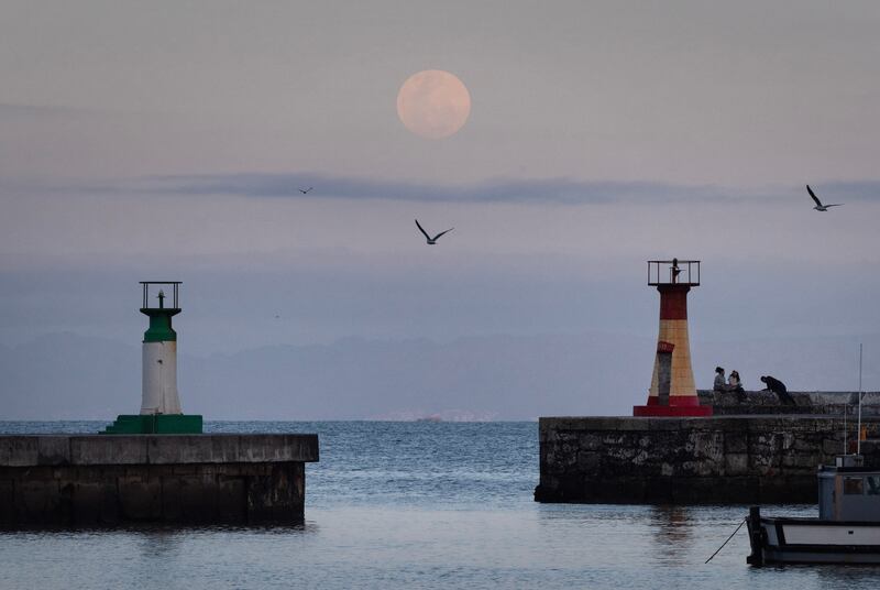 South Africa: Harvest supermoon rises over Kalk Bay Harbour near Cape Town. Photograph: Rodger Bosch/AFPGetty Images