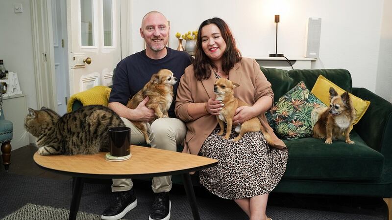 ‘His other hobby is collecting small rescue dogs, we have three,’ says Emma of Alan's fondness for Chihuahuas Lola, Eric and Missy