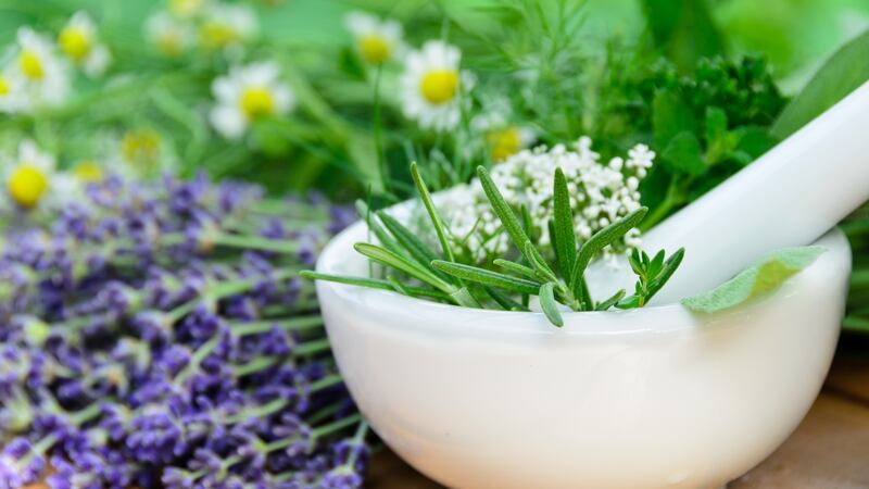 Herbs: Rosemary. Photograph: Thinkstock