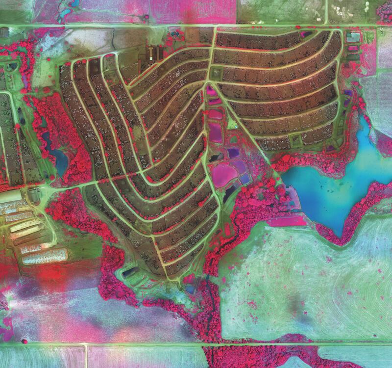 Intensive Cattle Feedlot, Rondonia, 2020, by Richard Mosse