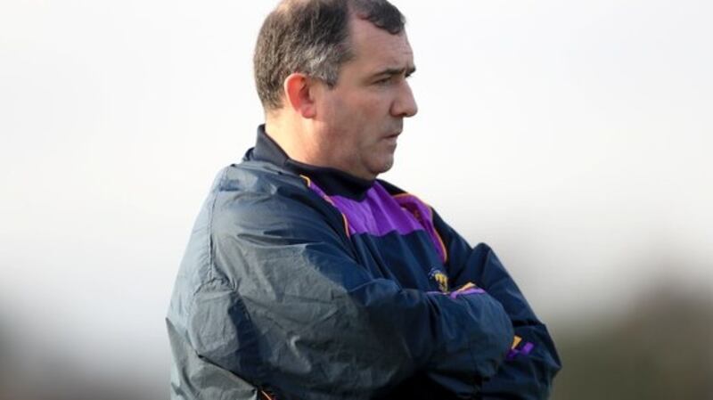 Séamus McEnaney’s Wexford earned promotion despite a minus-18 scoring difference. Photograph: Donall Farmer/Inpho