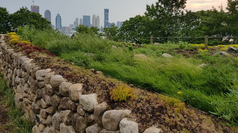 The Irish Hunger Memorial with the skyscrapers of Jersey City  in the background. Photograph: Chris Dooley