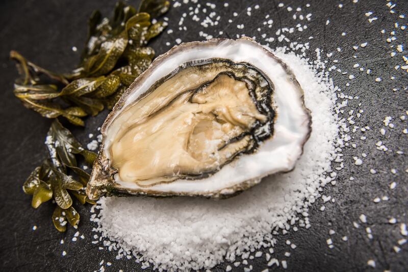 Oysters from Woodstown Bay Shellfish