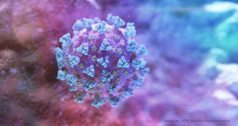 Prof Philip Nolan, chair of the Nphet Irish Epidemiological Modelling Advisory Group, told a press briefing at the Department of Health that Covid-19 is at a very low level in the State and very stable.