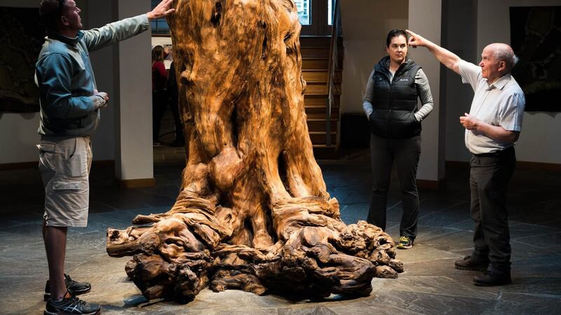 Archaeologist Seamus Caulfield with Shane Fox and Orla Maher from Dublin at the Céide Fields, Co Mayo. Photograph: Keith Heneghan/Phocus