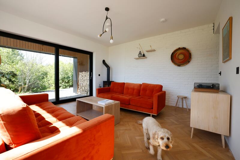 The family dog, Charlie in the living room where you can see a sideboard by Snug