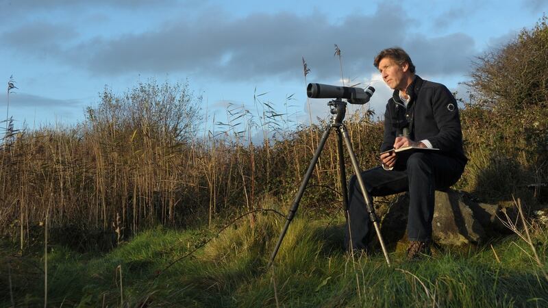 Killian Mullarney’s drawings helped make the Collins Bird Guide the cutting-edge identification manual for the whole continent.  Photograph:  Richard T Mills