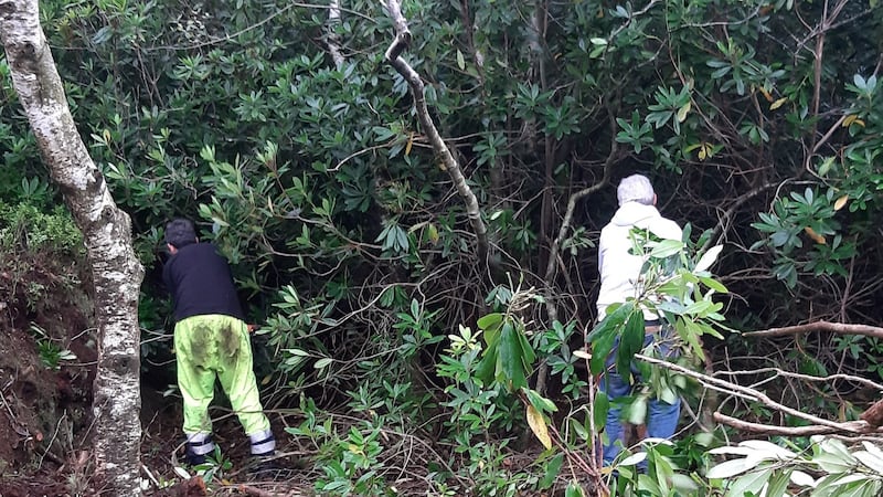 Residents from a direct provision centre and local residents form a working group to clear foliage in Abbeyleix