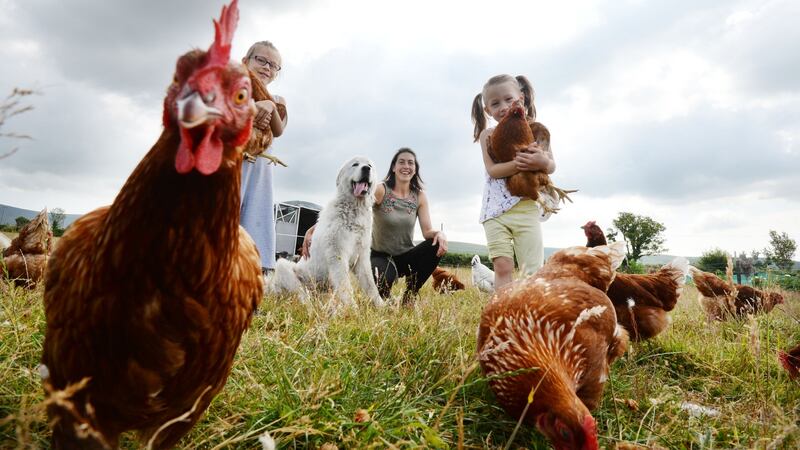 George the Chicken Dog: Clotilde Kiely, from Comeragh Mountain Poultry with her daughters Eloise and Juliette and her chicken dog George. Photograph: Alan Betson/The Irish Times