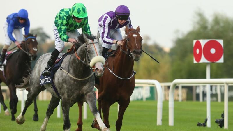 The Grey Gatsby ridden by Ryan Moore  wins ahead of Australia and Joseph O’Brien  in the Qipco Irish Champion Stakes at Leopardstown.  Photograph: Niall Carson/PA