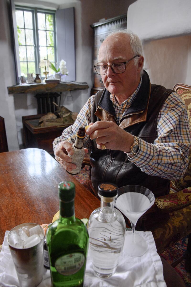 Stephen Evans-Freke with his premium gin and dry martini. Photograph: Daragh Mc Sweeney/Provision