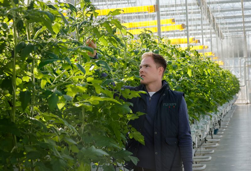 Martin Flynn says shortages will be compounded in Ireland because growers cannot afford to heat greenhouses. Photograph: Alan Betson
