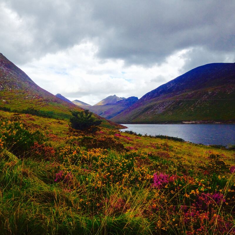 Few hikes on a sunny day can compare to Silent Valley. Photograph: Lynn Harding
