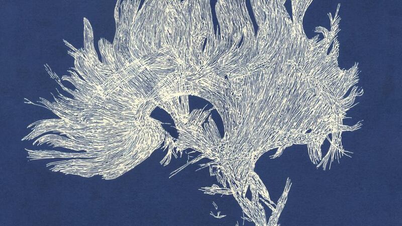 Eilis O’Connell’s ‘MRI Diffusion’, 2017, at Stoney Road Press