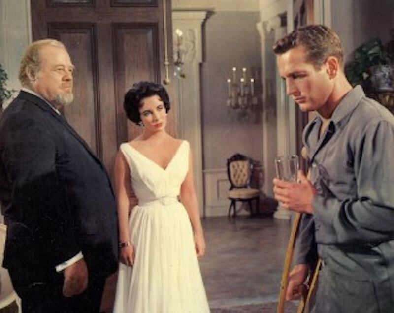 Cat on a Hot Tin Roof