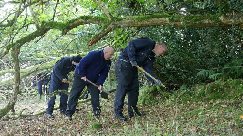 Gardaí pictured searching a wooded area at Taggartstown, near Kilcullen Co Kildare on Monday. Photograph: Collins