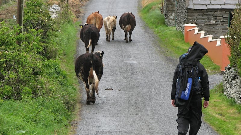 Not only was the walk physically demanding but it could be quite dangerous at times as well. Photo: Tom Coyne