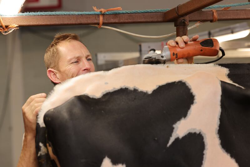 Richard Jones, from Barnadown farm, prepares dairy cows for the Bailey’s Dairy Cow Competition. Photograph: Alan Betson/The Irish Times

