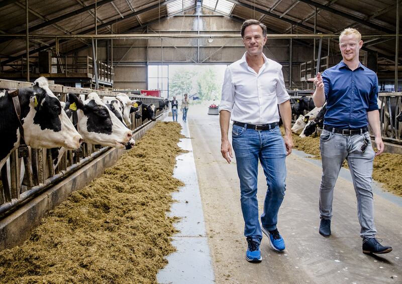 Dutch prime minister Mark Rutte (left) visits a dairy farm before a discussion with farmers about the nitrogen plans in Koudum. Photograph: Sem van der Wal/ANP/AFP via Getty