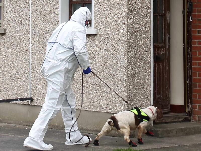 A garda searching a property with the assistance of a specialist cadaver dog. Photograph: Damien Eagers/ PA Wire