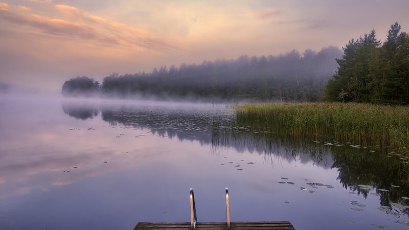 The Finnish expat population in Ireland was about 1,000 at the 2016 census, while about half that number of Irish people lived in Finland in 2013.