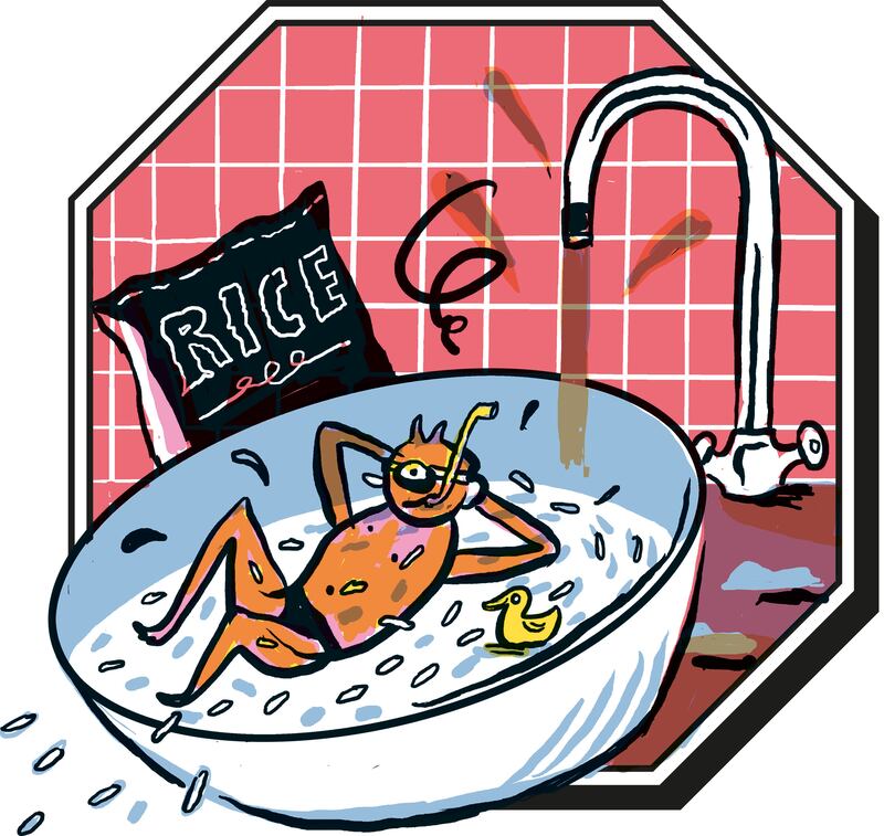 Illustration: Jakob Hinrichs/The New York Times