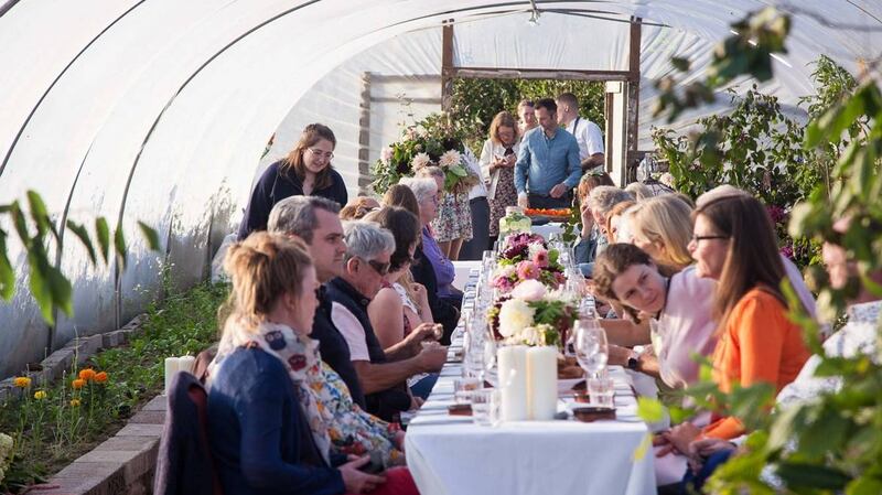 A polytunnel meal at Bumblebee Farm. Photograph: John Daly/Inspire Group