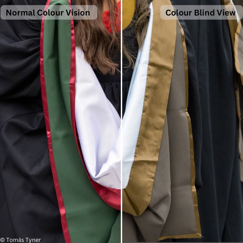 Colour vision deficiency. Photograph: Tomás Tyner/UCC