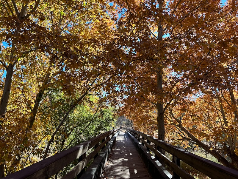 Red Rock State Park: one of the many ideal hiking locations in Arizona. Photograph: Gemma Tipton 